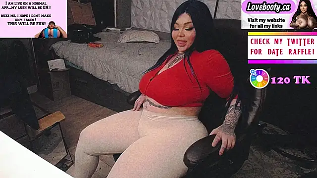 sheylagoddess11 online show from November 28, 12:00 am