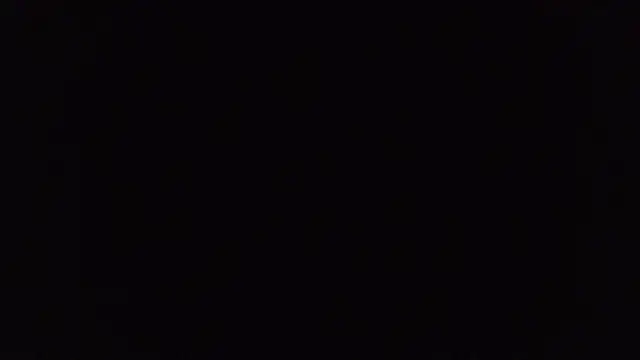 BuckWessle online show from October 31, 11:51 am