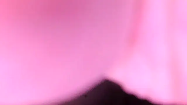 sr4343 online show from February 17, 10:18 pm