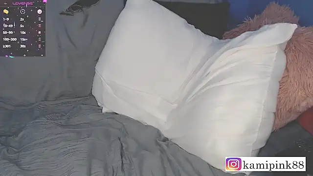 Snapshot of Camilazona chatting on January 6, 3:20 am Camilazona online show from January 6, 3:20 am