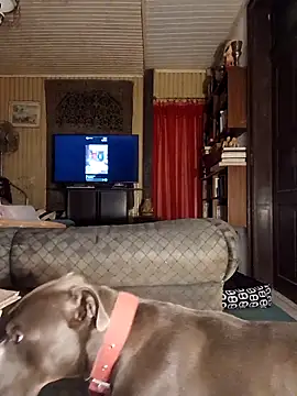 dutra498 online show from March 25, 4:45 am