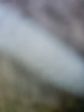 Snapshot of fuckineverett chatting on March 15, 3:48 pm fuckineverett online show from March 15, 3:48 pm