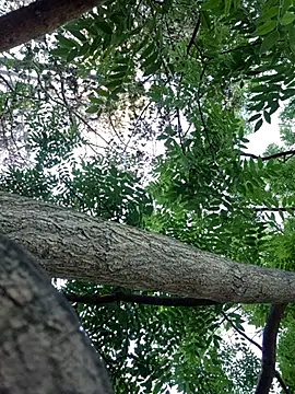 Snapshot of Keli_Jessi chatting on September 14, 1:22 pm Keli Jessi online show from September 14, 1:22 pm