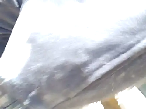 Diablo9804 online show from March 10, 6:45 pm