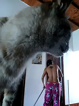 LunaZambrano online show from December 14, 3:06 pm