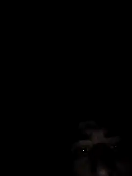 SpeedMagnumBlade6669 online show from February 14, 7:19 am