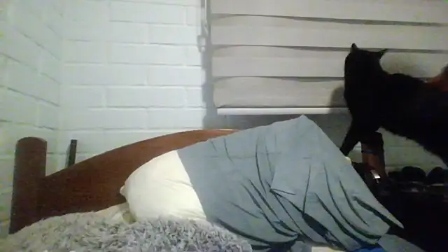 hung weeb online show from July 26, 5:14 am