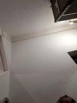 Percy ohv online show from November 1, 9:08 pm