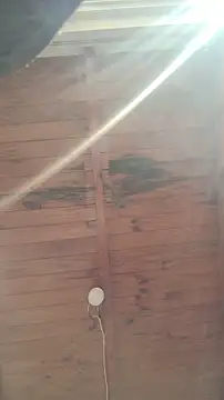 ZaraHoney online show from October 30, 7:55 pm