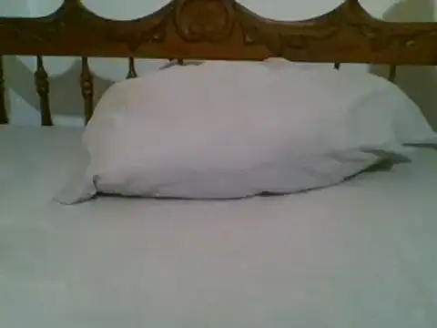 bbccol1 online show from March 17, 9:35 pm