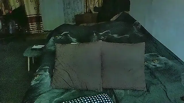 sex2 online show from March 3, 9:55 pm