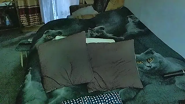 sex2 online show from October 28, 4:13 am