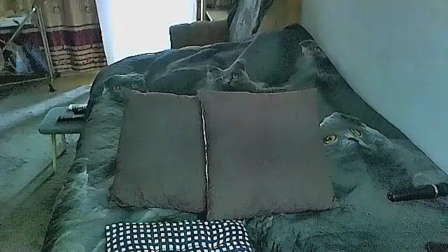 sex2 online show from November 4, 2:26 am