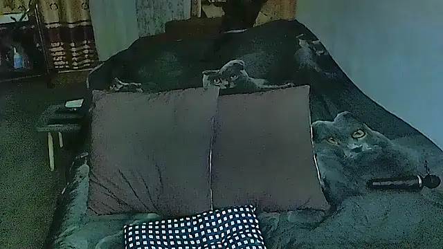 sex2 online show from October 20, 9:26 pm