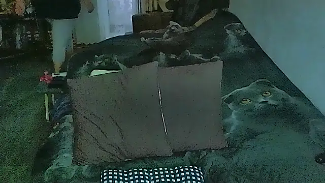 sex2 online show from April 9, 12:45 am