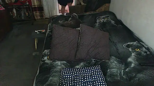 sex2 online show from May 29, 11:55 pm