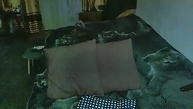 sex2 online show from March 24, 11:38 pm