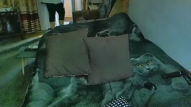 sex2 online show from November 17, 7:34 am