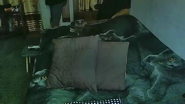 sex2 online show from March 30, 12:12 am