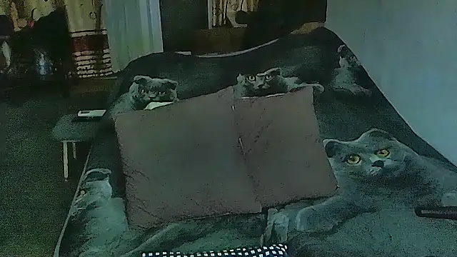 sex2 online show from February 11, 11:15 pm