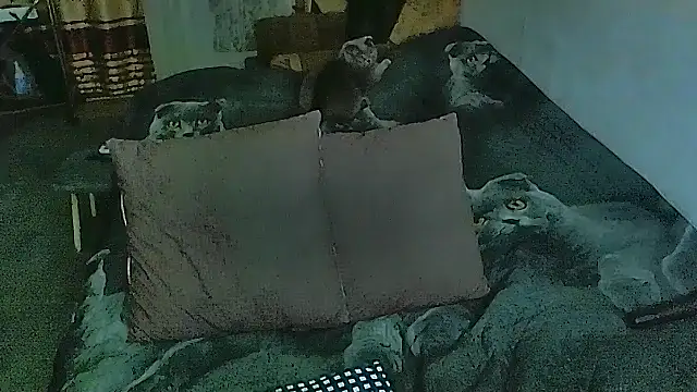 sex2 online show from October 30, 7:00 pm