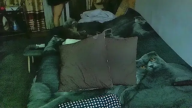 sex2 online show from December 1, 10:10 pm