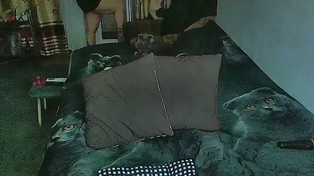 sex2 online show from April 13, 11:20 pm