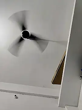 vishnuvinod india online show from November 14, 6:22 pm