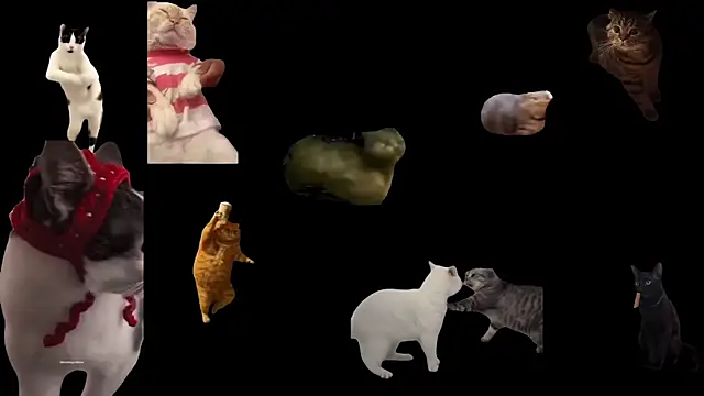 aberaaruba online show from November 5, 11:57 am