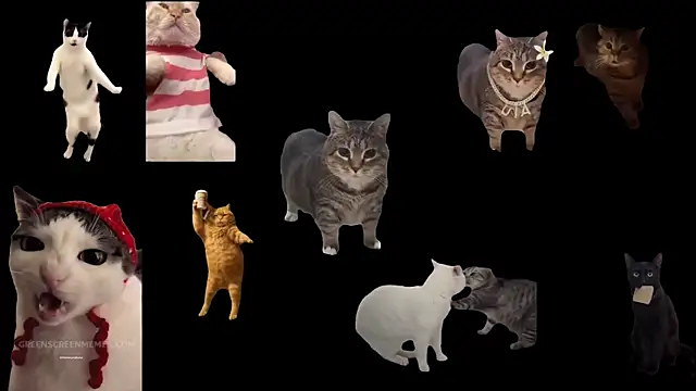 aberaaruba online show from November 10, 10:09 am