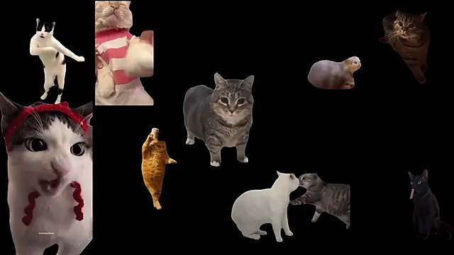 aberaaruba online show from October 29, 9:41 am