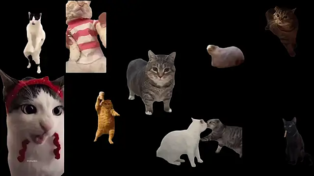 aberaaruba online show from November 12, 11:36 am