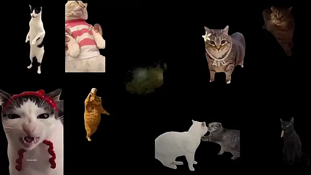 aberaaruba online show from November 6, 2:43 pm