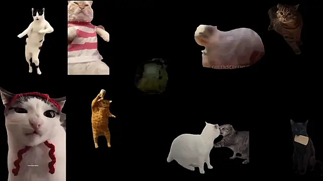 aberaaruba online show from October 30, 1:42 pm