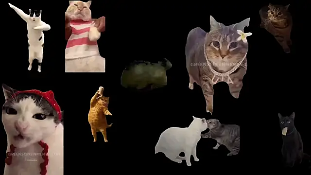 aberaaruba online show from November 13, 1:26 pm