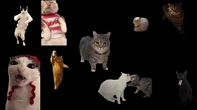 aberaaruba online show from November 24, 3:23 pm