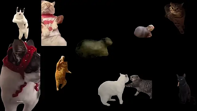 aberaaruba online show from November 20, 2:51 pm