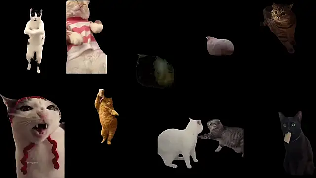 aberaaruba online show from October 23, 9:41 am