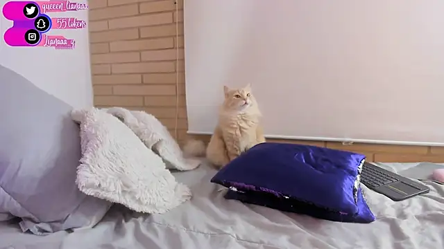 Snapshot of Queen_liana chatting on January 10, 8:29 am Queen liana online show from January 10, 8:29 am