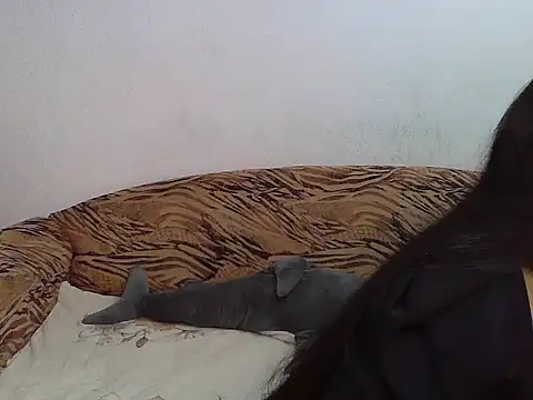 Aleksa Blackdream online show from November 28, 10:21 pm