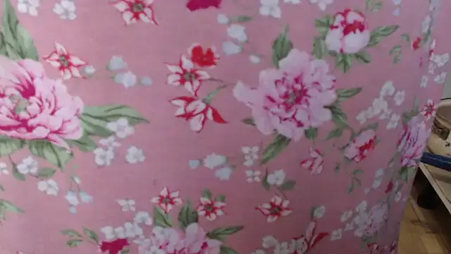 Anabelldestiny online show from November 19, 6:46 am