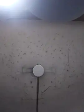 marie12345679 online show from February 26, 1:16 am