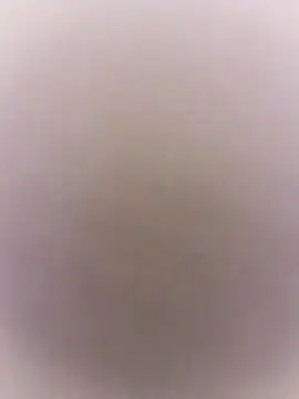 marie12345679 online show from March 7, 8:58 pm