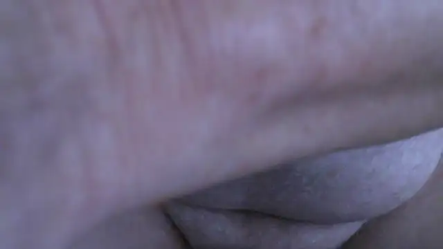 Snapshot of jungle644 chatting on May 15, 4:43 am jungle644 online show from May 15, 4:43 am