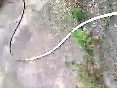 Snapshot of Pitercom chatting on October 5, 2:02 am Pitercom online show from October 5, 2:02 am