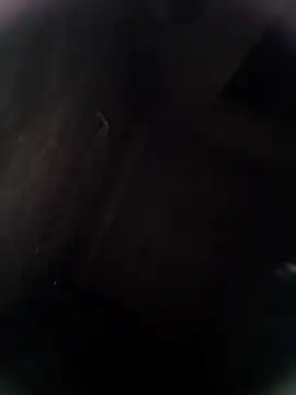 Pitercom online show from February 8, 12:52 am