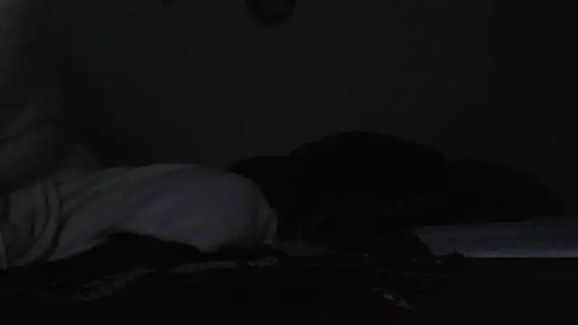 HoneyDripHer online show from December 3, 6:32 am