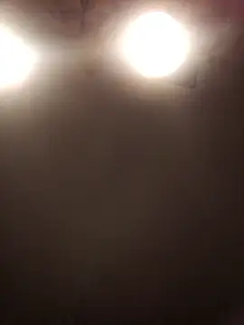 lilianashemale online show from November 1, 3:13 am