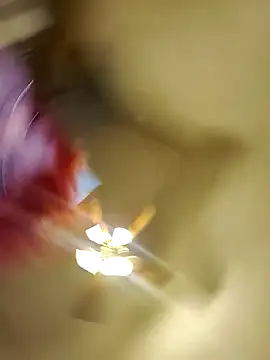 Snapshot of Cutegothcrybabyx chatting on October 14, 11:25 pm Cutegothcrybabyx online show from October 14, 11:25 pm