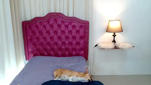 DreamLADYBOY online show from February 24, 1:06 am